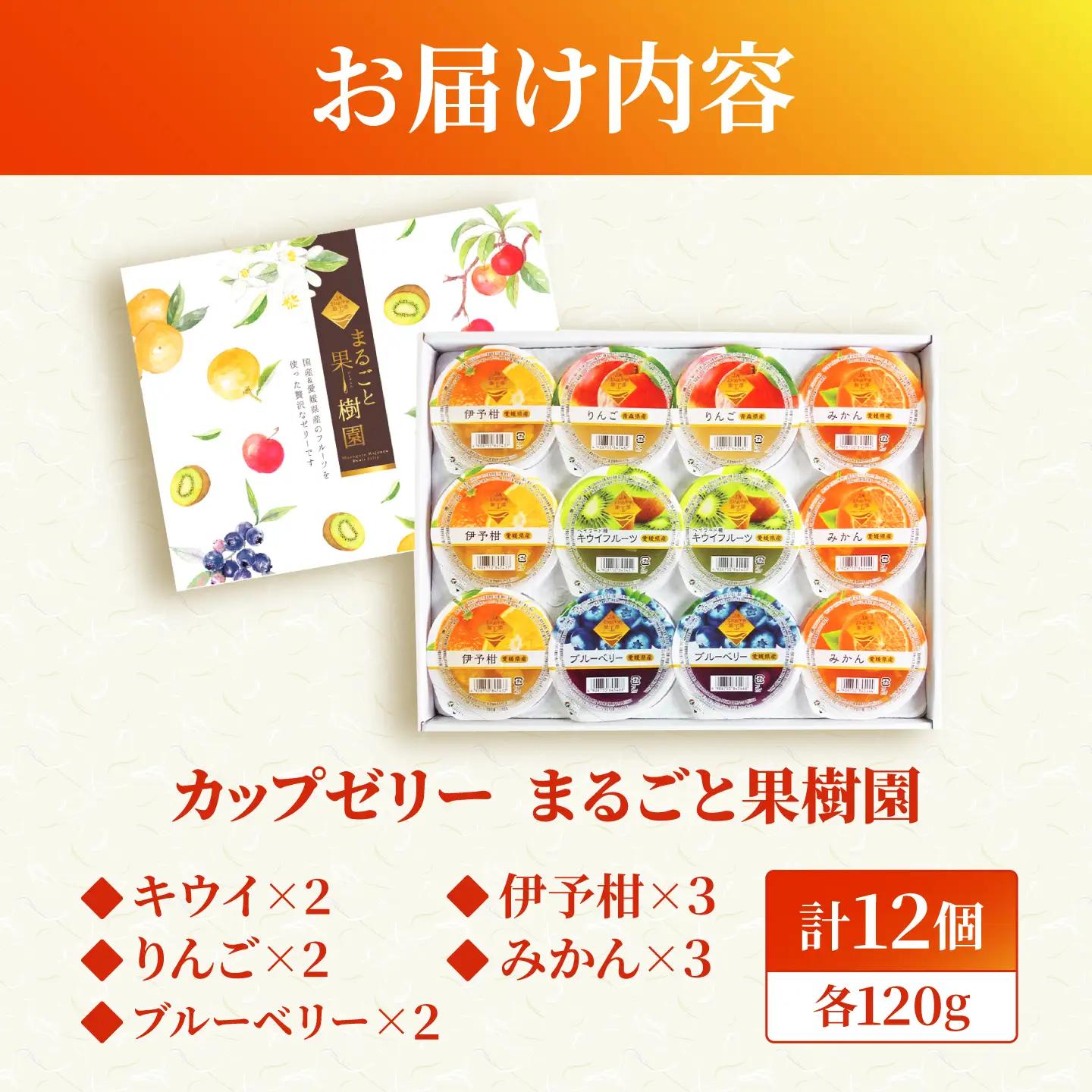 ゼリー カップゼリーまるごと果樹園詰め合わせ 5種12個セット( 伊予柑 みかん りんご キウイフルーツ ブルーベリー )/ 柑橘 ゼリー 果肉 果実 果汁 果物 フルーツ 国産 愛媛県産 スイーツ 