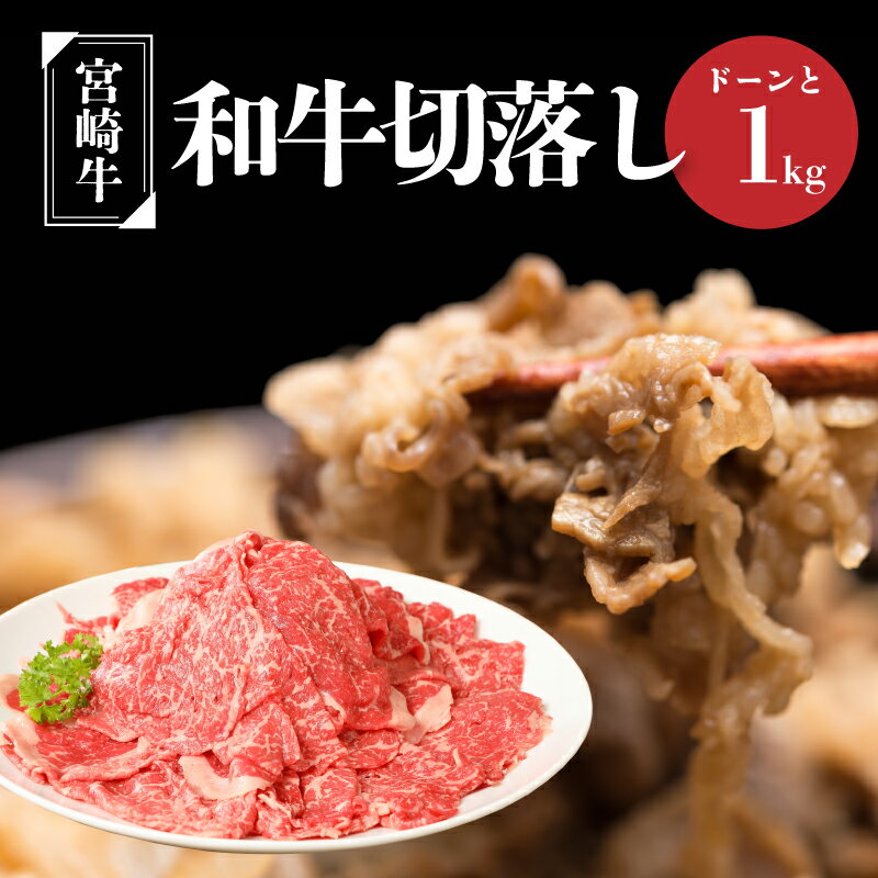 【ふるさと納税】【レビューキャンペーン中】宮崎牛和牛切り落とし1kg - ブランド牛 国産牛肉 国産黒毛和牛 A4等級A5等級 綺麗なサシ とろけるような食感 和牛ブランド 切落とし 牛丼/肉じゃが 送料無料 【宮崎県木城町】