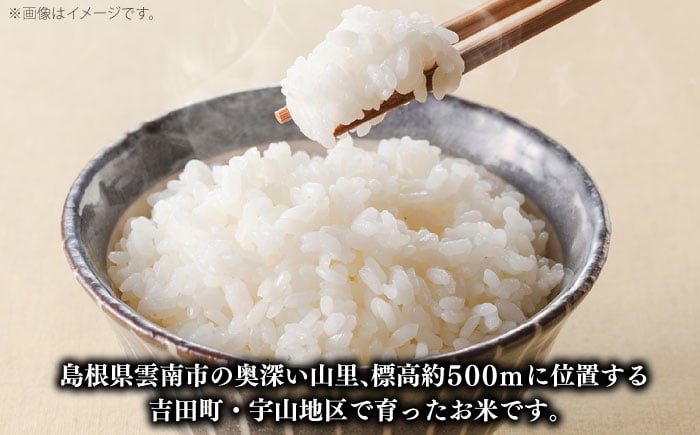 新米 コメ つや姫 白米 島根