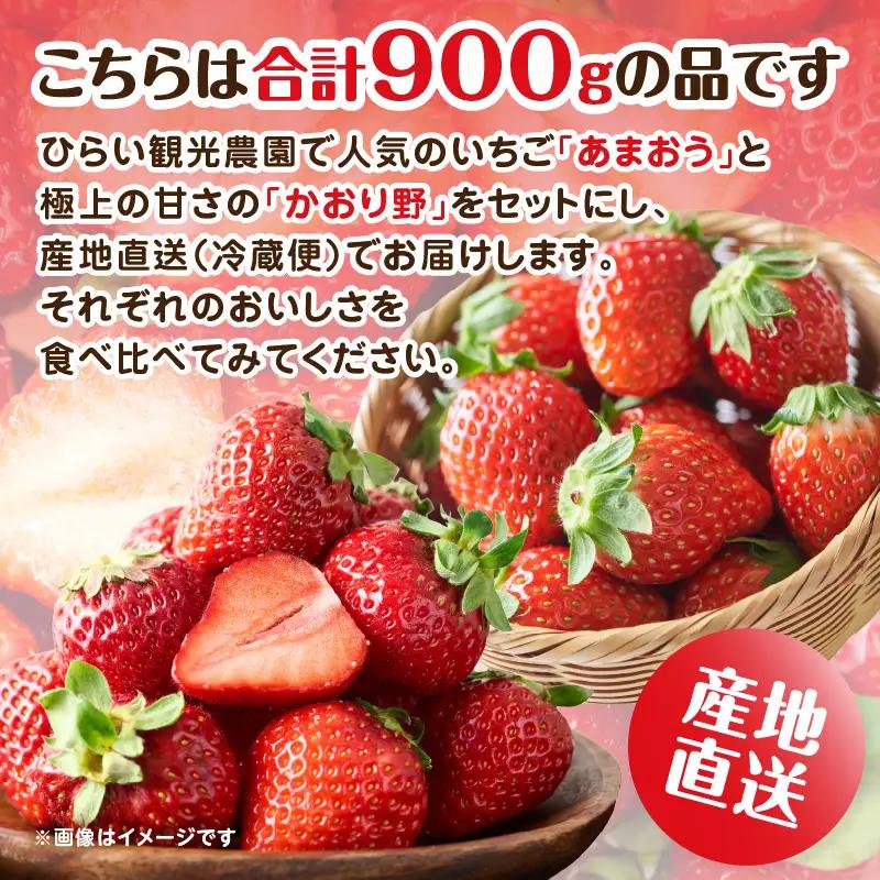 人気の2種いちご食べ比べセット「あまおう450g」＋「かおり野450g」合計900g｜2027年1月下旬～順次発送＜ひらい観光農園＞ いちご 苺 イチゴ フルーツ 果物 くだもの 065-001