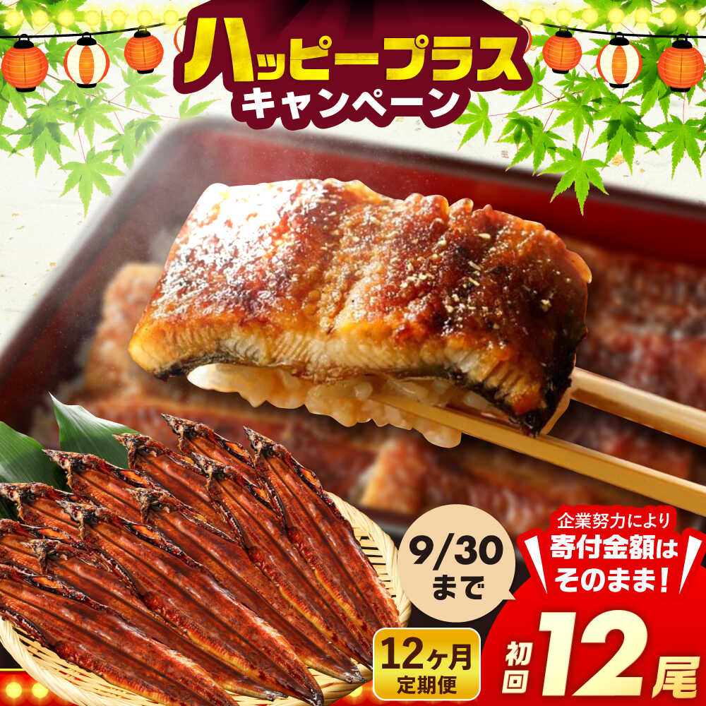 【ふるさと納税】【全12回定期便】福岡県産 うなぎ 蒲焼 大 12尾　計1920g（1尾あたり 160g以上）《豊前市》【福岡養鰻】 国産 鰻 ウナギ 蒲焼き[VAD029] 708000 708000円