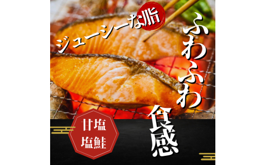 本格銀鮭甘塩切身セット 8切 640g / 鮭 切り身 個包装 冷凍 さけ サケ しゃけ 銀鮭 千葉県 匝瑳市
