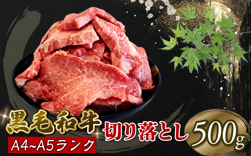 焼肉 切り落とし 500g 牛肉 和牛 部位お任せ 黒毛和牛 A5 A4 大きさ不揃い 切落し ブランド牛 阿波牛 阿波華牛 大容量