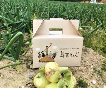【期間限定】島玉ねぎ（新玉ねぎ）2.5kg+白米10kg　★発送3月～