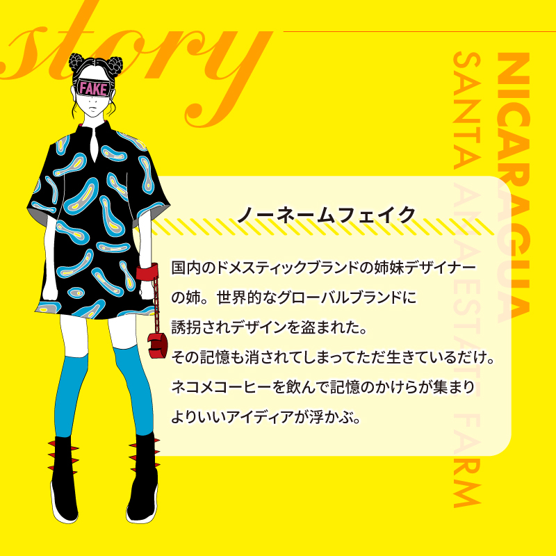 ニカラグアサンタアナエステート(粉) 【0097-015-2】_イメージ4