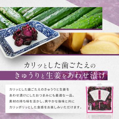 ふるさと納税 京都市 志そ漬きゅうり2袋 LLP|京都 老舗 土井 有名店 しそ漬 漬物 人気セット |  | 02