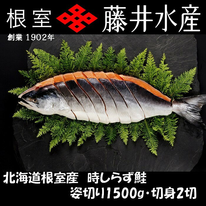 【ふるさと納税】[北海道根室産]時しらず鮭切身1.5kg×1P・1切×2P F-42020