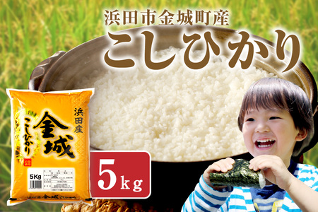 【令和7年産】浜田市金城町産こしひかり５Ｋｇ 米 お米 精米 白米 5キロ 5kg 生活応援 応援 準備 一等米 お歳暮 【058_1852】
