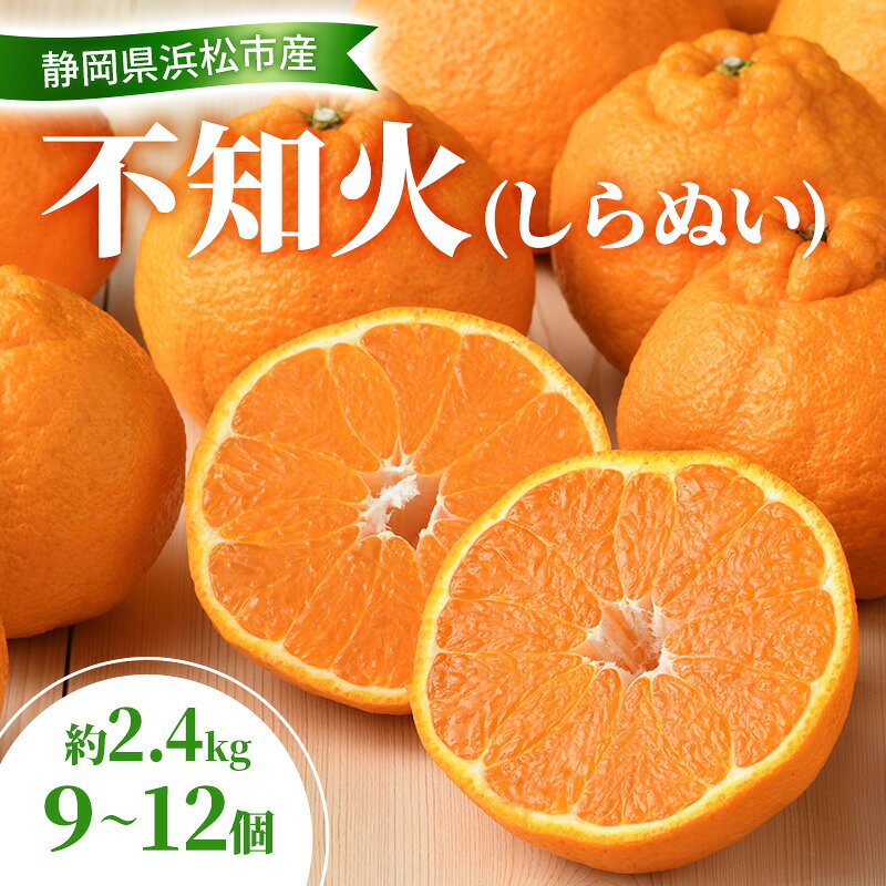 【ふるさと納税】【2026年3月以降発送】 不知火 約2.4kg 9～12個 しらぬい デコ かんきつ 柑橘 みかん ミカン 蜜柑 フルーツ 静岡 浜松市　お届け：2026年3月1日～4月10日まで