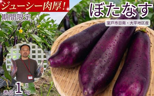 
                  【 伝統野菜 ぼたなす 秀品 1.5㎏ 】 なす ナス ボタナス 焼きナス ナスレシピ 野菜 とろける食感 クリーミー 人気 お取り寄せ 野菜セット 甘い 産地直送 新鮮 野菜 希少 吉良川町 日南 大平 集落活動センター ひなたぼっこ 高知県 室戸市
                