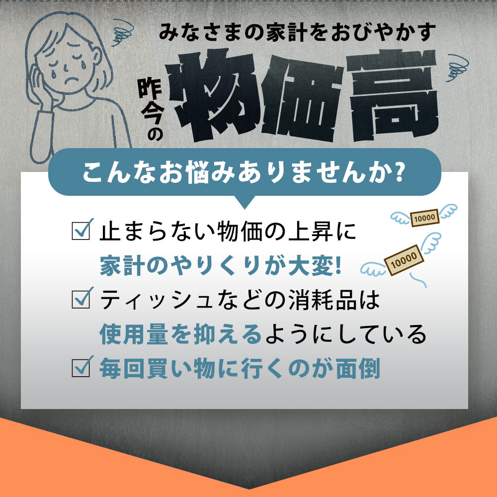 MH140-0137_【ふるさと納税】 ティッシュ ティッシュペーパー「 大容量 ANIMAL BOXティッシュ 定期便 2パック (ケース10個入り) 全3回(毎月)」[ 動物柄 アニマル柄 常備品