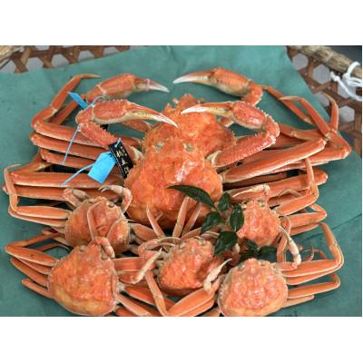 ふるさと納税 加賀市 【先行予約】【冷蔵発送】「石川の海の宝」豪華二大蟹セット(加能ガニ2杯・香箱ガニ5杯)