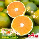 【ふるさと納税】【9月中旬より発送】先行予約 福岡産ブランドみかん 早味かん 約4kg＜南国フルーツ株式会社＞那珂川市 みかん 蜜柑 ミカン オレンジ 国産 福岡 フルーツ 果物 新鮮 [GCD024]22000 22000円
