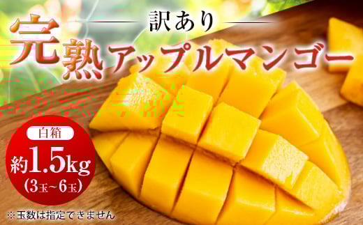 
            ＜2026年6月中旬から順次発送・訳あり＞完熟アップルマンゴー約1.5kg(3玉～6玉)【1390899】
          