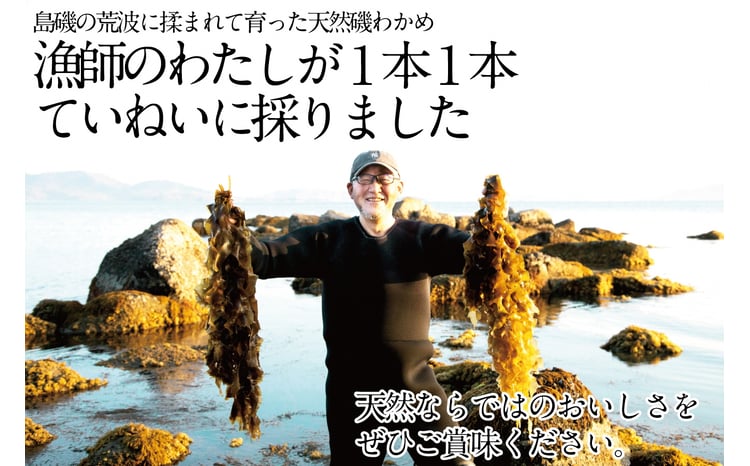 湯通し塩蔵 瀬戸内 わかめ 500g×5袋【岡山 瀬戸内海 天然 塩蔵】