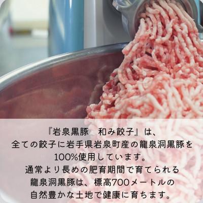ふるさと納税 岩泉町 【岩泉黒豚 和み餃子】岩手県岩泉町産 龍泉洞黒豚使用の手包み餃子 20個 |  | 02