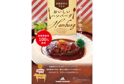 非常食になるおいしいハンバーグと三瓶山の天然水セット【レトルト ハンバーグ 180g 固形量 120g 8個 天然水 500ml 6本 手作り デミグラスソース 水 ペットボトル 長期保存 セット】