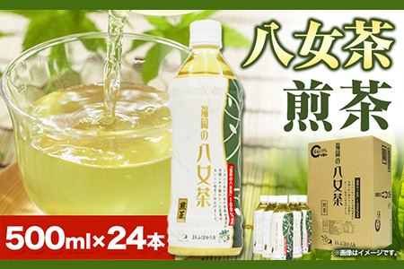 八女茶 煎茶ペットボトル 500ml×24本 株式会社親和園《30日以内に出荷予定(土日祝除く)(土日祝除く)》福岡県 鞍手郡 鞍手町 お茶 緑茶 茶 八女茶 ペットボトル 送料無料