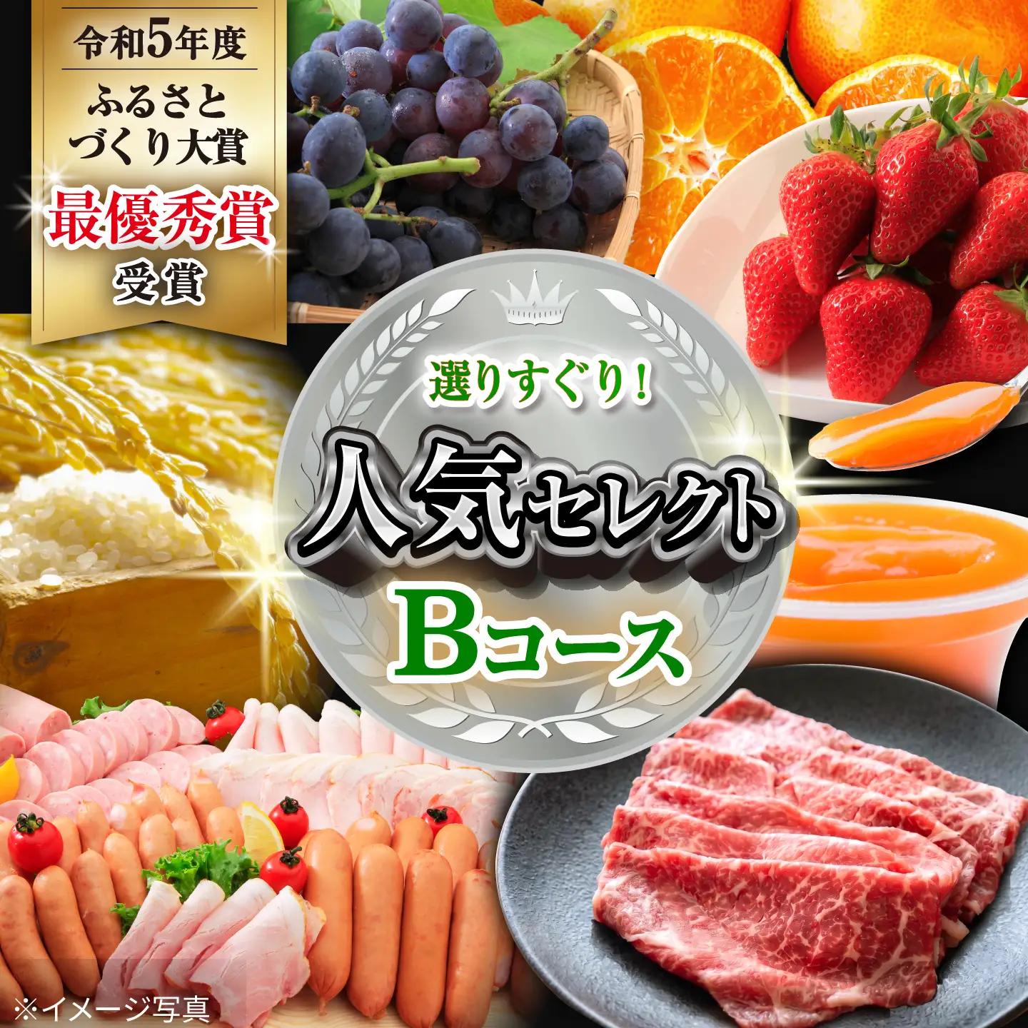 バラエティ定期便 人気セレクトBコース 12回 大村市産  [ACAA123]