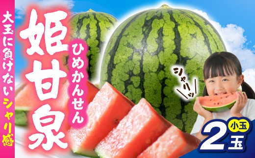 【7月下旬以降順次発送】 すいか ２玉 小玉 姫甘泉 【先行予約】 １玉あたり約2~3kg  青森県 五所川原市 フルーツ 果物 スイカ 西瓜 ひめかんせん