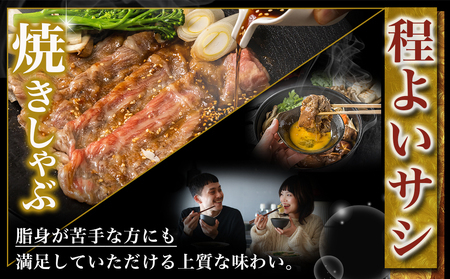 【2026年2月お届け】宮崎牛モモスライス(500g×2P)_17-N401-2602