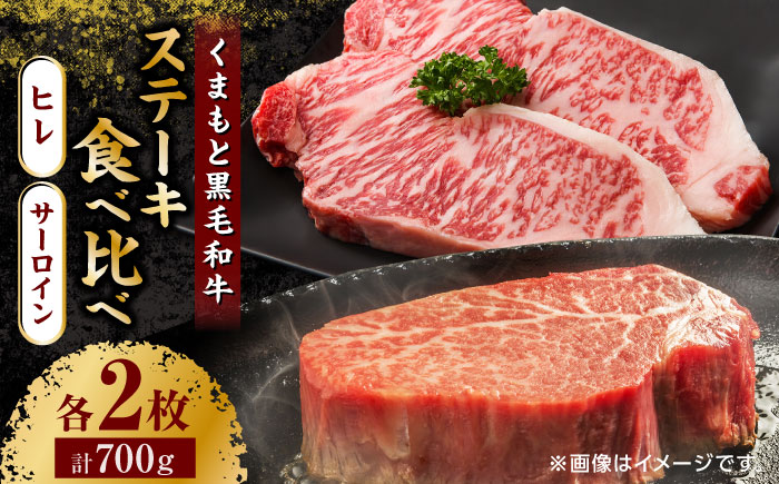 くまもと黒毛和牛 ステーキ食べ比べ ヒレ・サーロインステーキ 各2枚【民守】 サーロイン ヒレ 赤身 食べ比べ セット 霜降り ステーキセット [ZBL027]