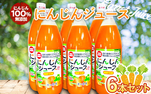 
にんじん100% 無添加にんじんジュース 6本セット【澤口農園】 F21U-293
