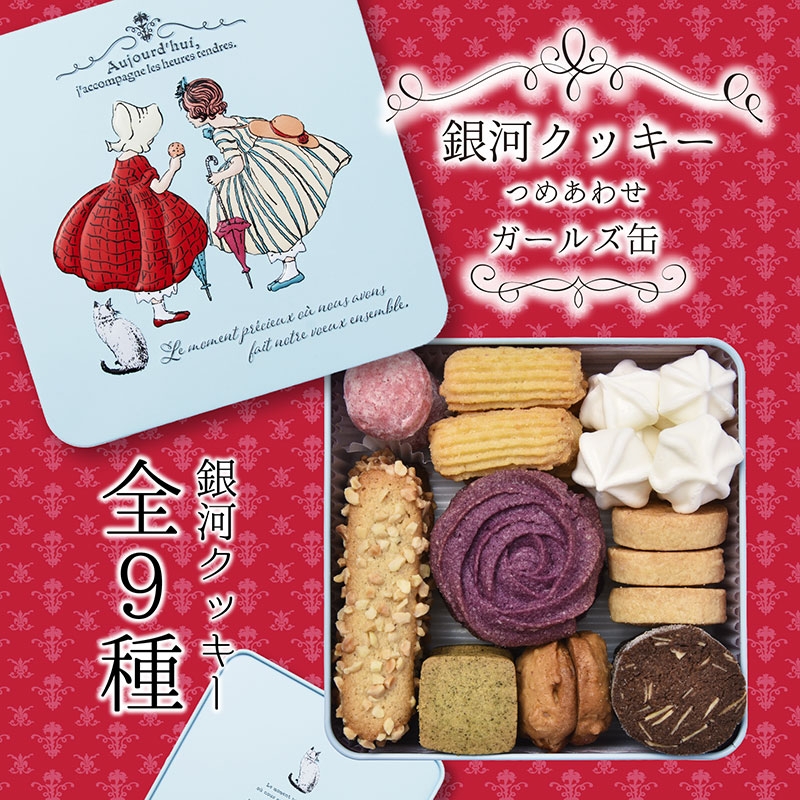 
                  クッキー缶 無添加 スイーツ クッキー 缶 ガールズ缶 9種の焼き菓子詰合せ 詰め合わせ 銀河工場 焼き菓子 国産 バター お菓子 手土産 おしゃれ 可愛い ご褒美 贈り物 奈良県 大和郡山市 [№5990-0927]
                