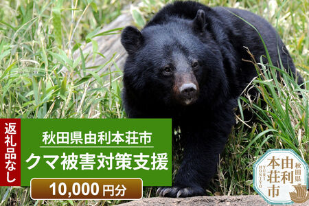 【返礼品なし】秋田県由利本荘市 クマ被害対策支援 10,000円