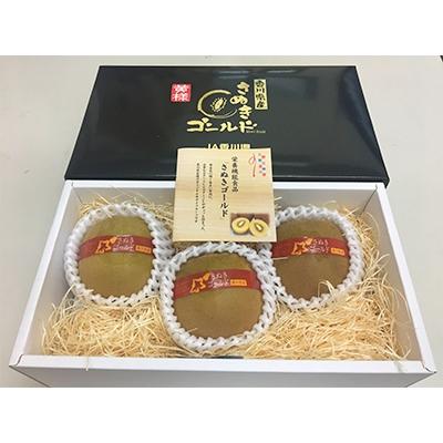 ふるさと納税 高松市 【数量限定500セット】さぬきゴールドキウイ化粧箱(大玉)　約600g