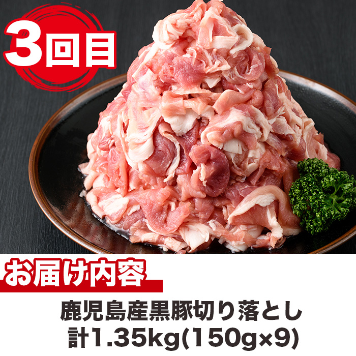 No.725 ＜定期便・全5回(連続)＞鹿児島産黒豚味わい尽くしコース(黒豚味噌漬けや炭焼き焼豚、ウインナー、切り落とし肉、フランクフルト、黒豚ロース肉)国産 【コワダヤ】
