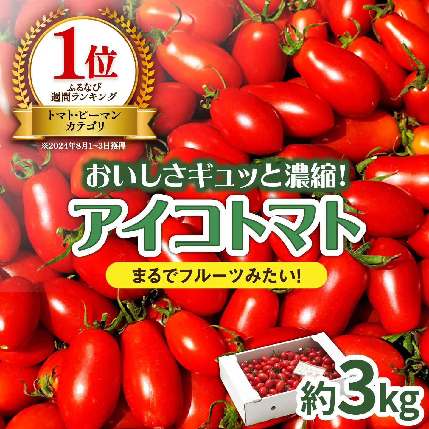完熟アイコトマト 約3kg / トマト  [SCB052] 