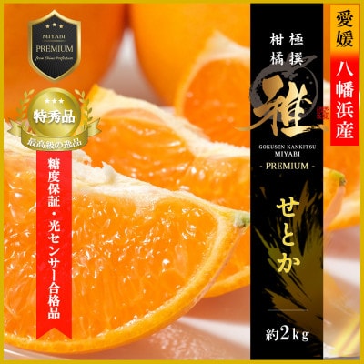 極撰柑橘【雅プレミアム】糖度保証・光センサー合格品「 せとか 」約2キロ【D39−62】【配送不可地域：離島】【1614238】
