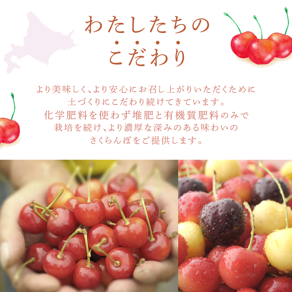 【 先行受付 】さくらんぼ サミット 1kg 500g×2パック 農林水