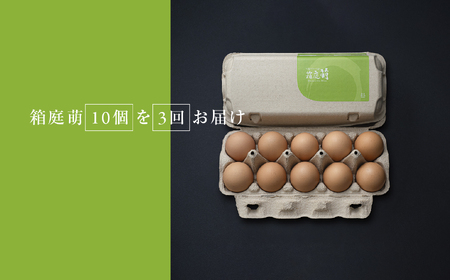 【定期便3回】懐かしさを感じる 箱庭たまご 「箱庭萌」 10個 | 卵 たまご テレビ 話題 ごはん お供 タマゴ 卵かけ 真岡市 栃木県 送料無料