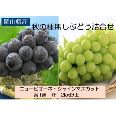◆先行受付◆　岡山県産　秋の種無しぶどう詰合せ　2027年発送【配送不可地域：離島・北海道・沖縄県】