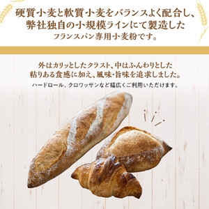 フランスパン専用小麦粉「レピ・ドール」5kg | 小麦粉 フランスパン