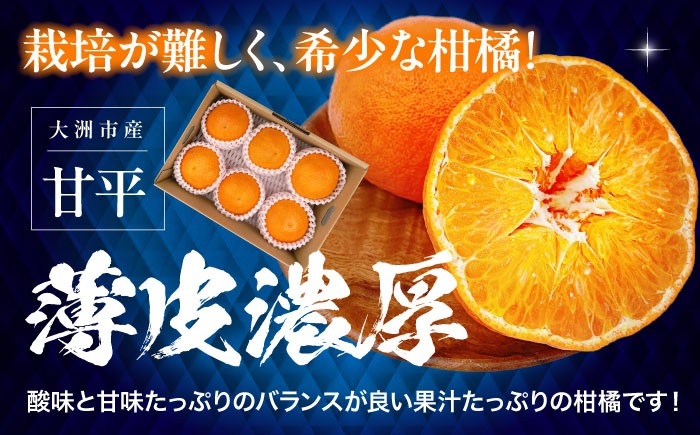 甘平 かんぺい みかん 愛媛みかん 柑橘 オレンジ フルーツ ミカン 果物 愛媛みかん デザート 健康 人気 大洲市