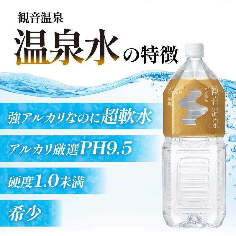 飲む温泉　観音温泉　2リットル(6本入)　1ケース