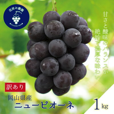 【ふるさと納税】岡山　花笑み農園の 『訳ありニューピオーネ』1kg　WP-1【配送不可地域：離島】【1650778】