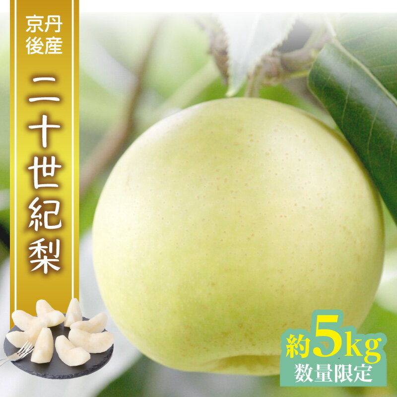 【ふるさと納税】残りわずか【先行予約／数量限定】京都丹後産 二十世紀梨 5kg（2025年9月上旬～発送） 国産 ギフト ジューシー お取り寄せ 5キロ ふるさと 納税 梨 なし ナシ 5kg ふるさと 納税 先行予約 期間限定 ふるさと 納税 20世紀 先行申込 送料無料