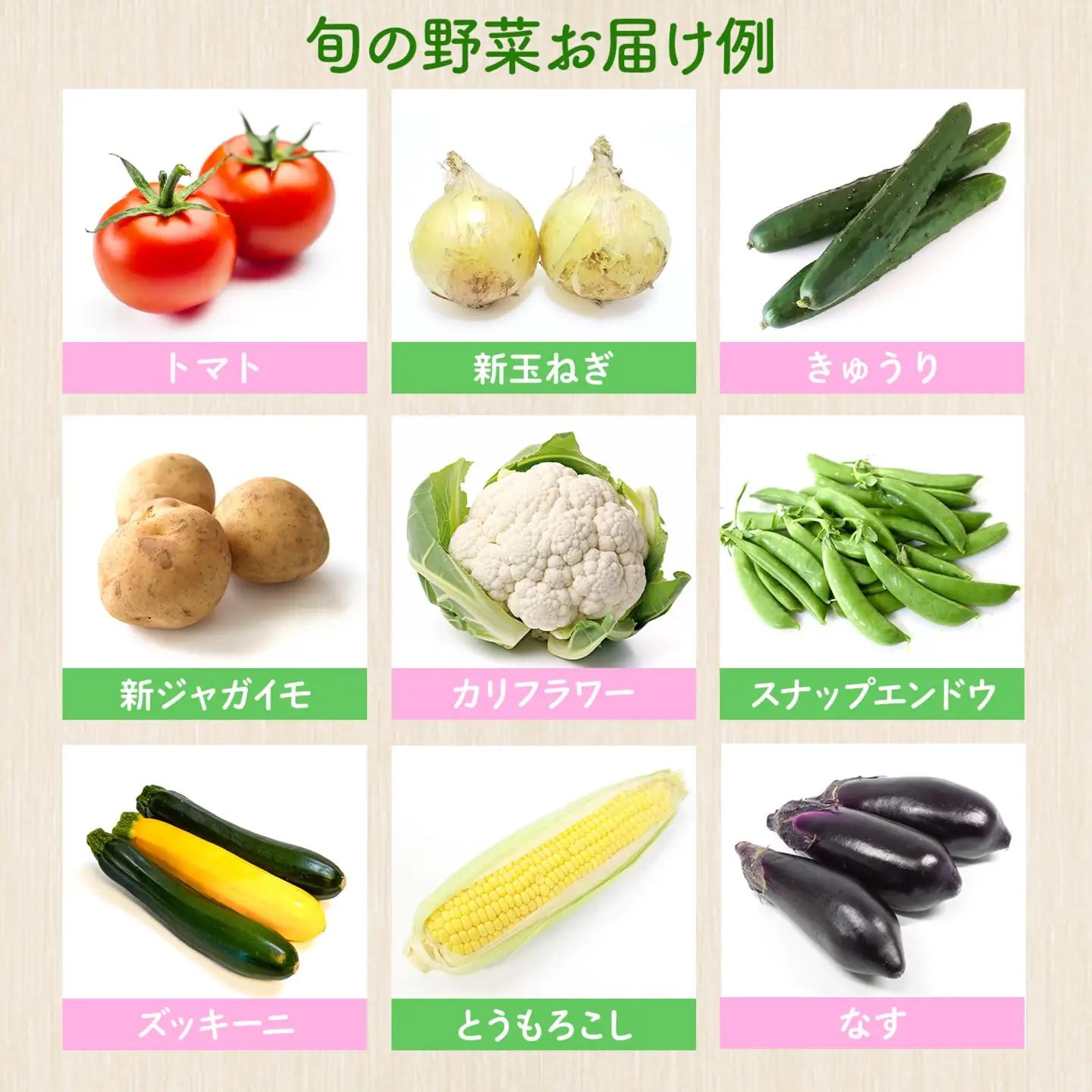 K1665 季節の野菜 「道の駅さかいオリジナル」駅長おすすめ野菜セット