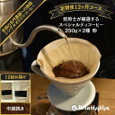 【ふるさと納税】 【定期便】スペシャルティコーヒー豆 焙煎士セレクト 250g×2種【粉】 12ヶ月 千葉県 南房総市 個性 焙煎 ブラジル コロンビア グアテマラ インドネシア ケニア エチオピア フレッシュ コーヒー豆 送料無料