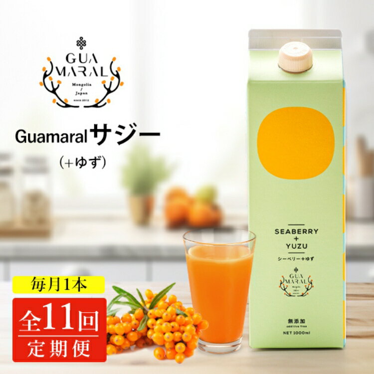 【ふるさと納税】【定期便11カ月】サジー グアマラルサジー＋ゆず 1000ml　毎月1本11カ月コース｜サジージュース サジー 沙棘 グアマラル 健康ドリンク 健康 美容 栄養 果汁 鉄分補給 栄養補給 健康食品 _DX35