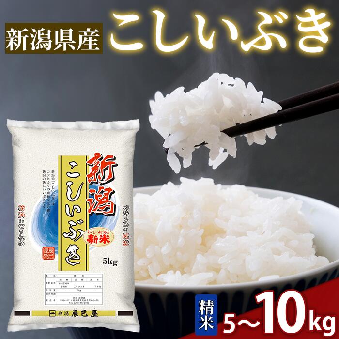 【ふるさと納税】 米 5kg 10kg 令和7年産 こしいぶき 精米 せいまい 米 こめ コメ 新潟県 産 おすすめ オススメ 新潟辰巳屋