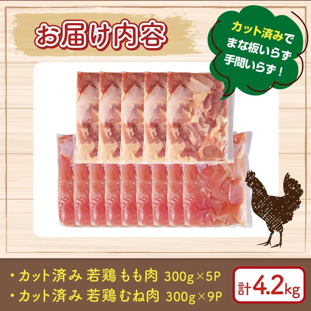 鶏肉 宮崎県産若鶏もも肉 むね肉 計4.2kg 国産 鶏肉 若鶏 もも肉 むね肉 
