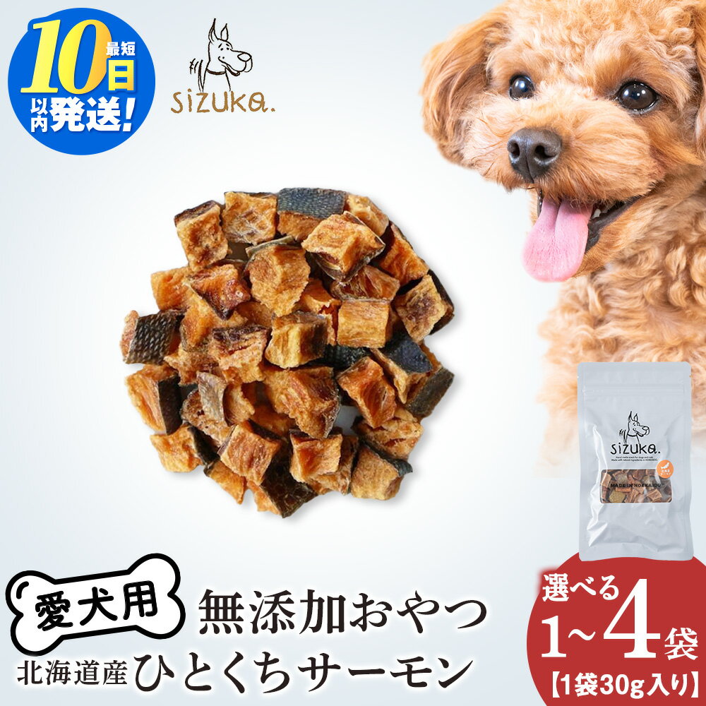 【ふるさと納税】愛犬用　無添加おやつ　ひとくちサーモン 選べる1〜4袋 1袋30gサーモン 鮭 ドッグフード ペット おやつ ダイスカット 無添加 北海道ふるさと納税 ふるさと納税 北海道 千歳市【北海道千歳市】ギフト ふるさと納税