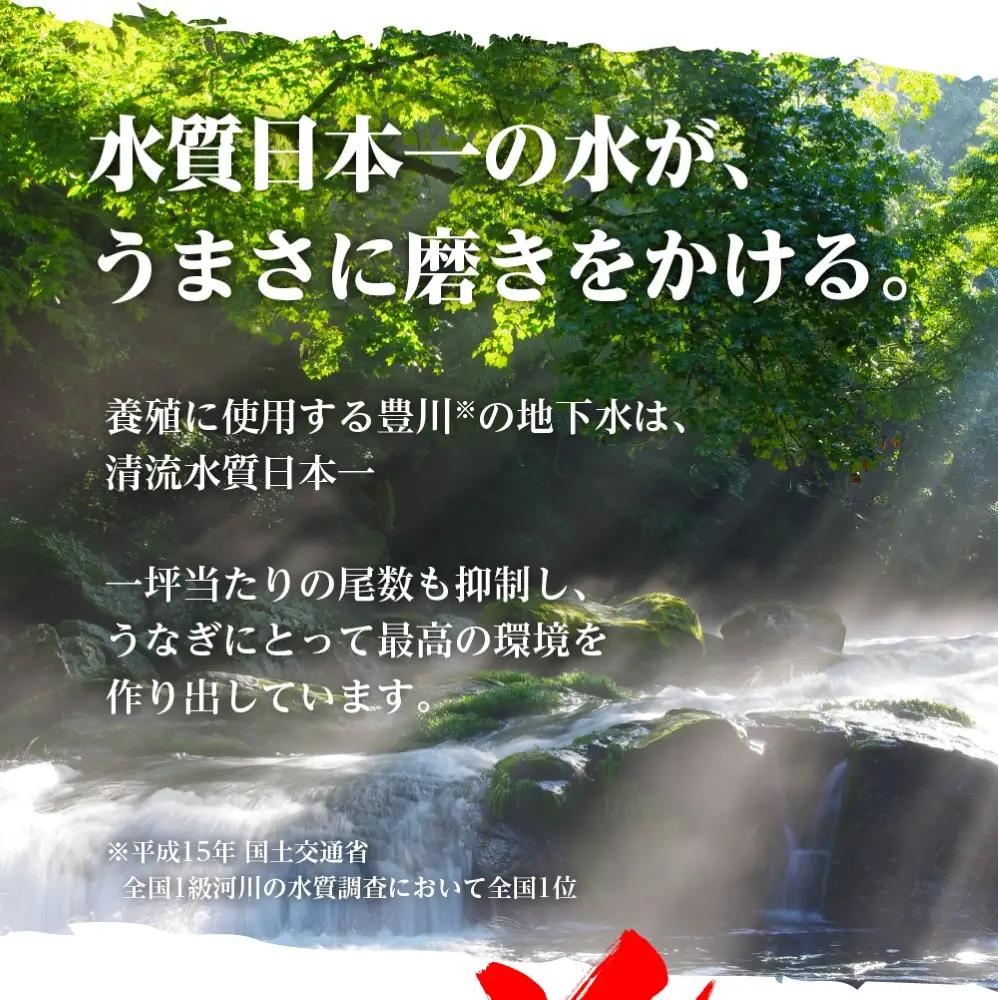 うなぎ 蒲焼 2尾 うなぎ 夏目商店