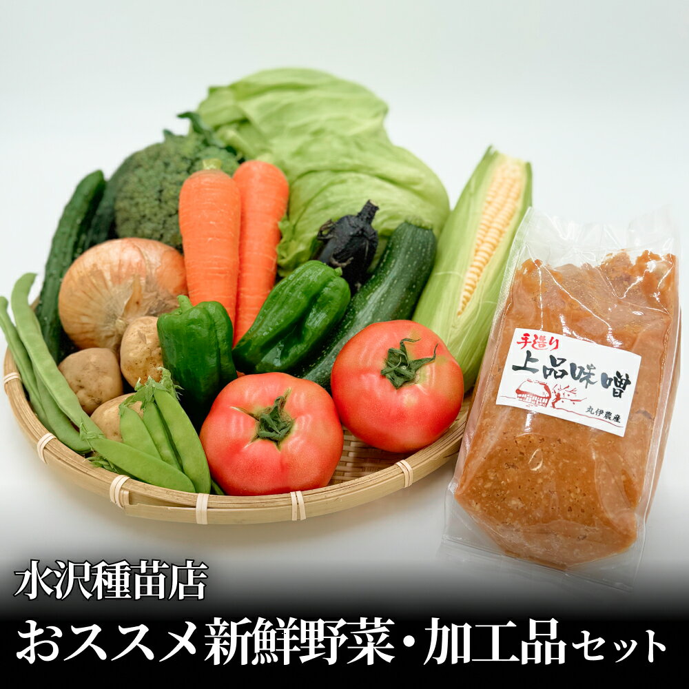 【ふるさと納税】野菜 水沢種苗店おススメ新鮮野菜・加工品セット 宮城県 石巻市