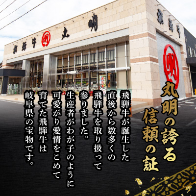 【訳あり】飛騨牛 焼肉　切り落とし 500g【配送不可地域：離島】【1749003】